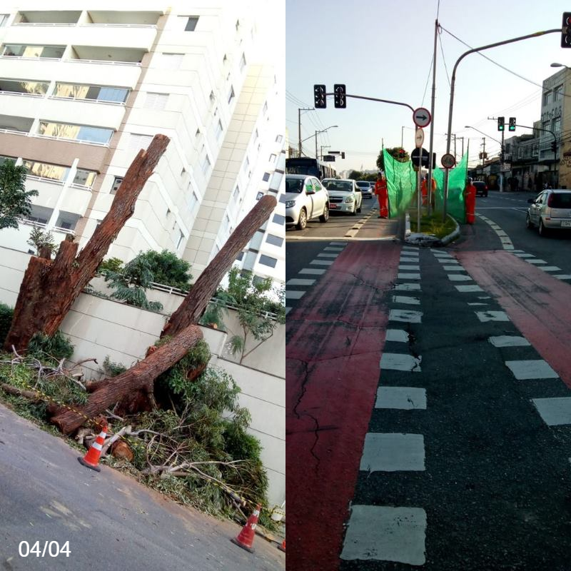 Funcionários da prefeitura fazem a remoção de uma árvore que está na calçada, e do outro lado da imagem funcionários limpam o canteiro de uma avenida